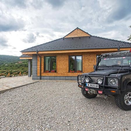 Green Hill Luxury Villa Berkowica Zewnętrze zdjęcie